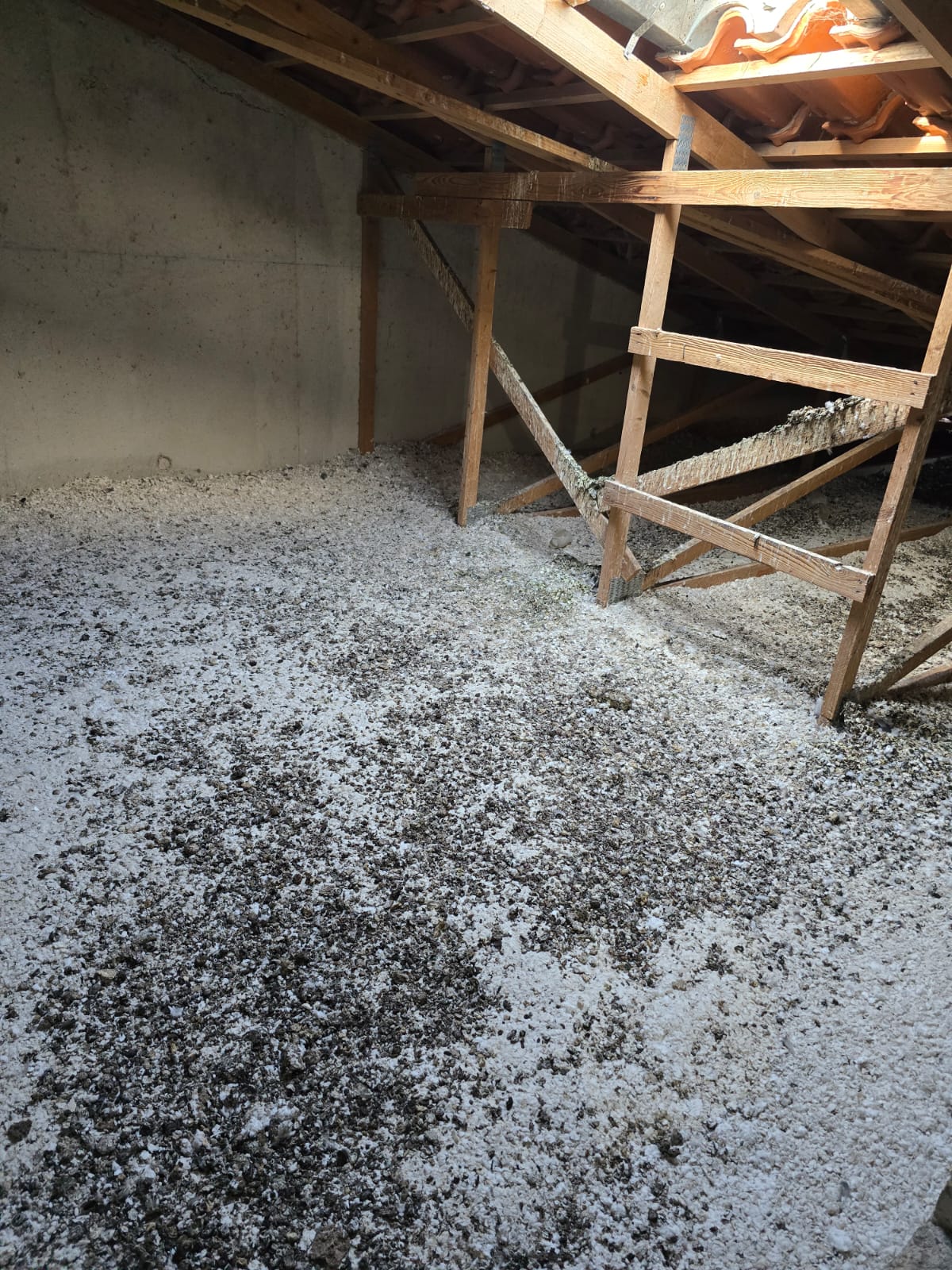 SOS DC et la désinfection des fientes de pigeons à Noisy-le-Grand et ses environs : qui délivre le certificat de traitement ?